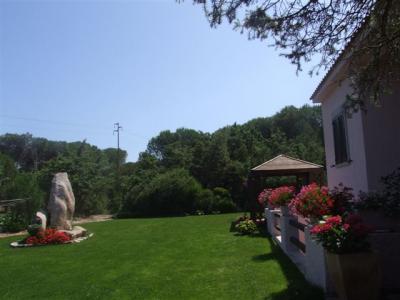 SARDEGNA - AGLIENTU  AFFITTASI ANCHE SETTIMANALMENTE