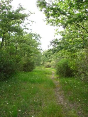meditazione e autoconoscenza