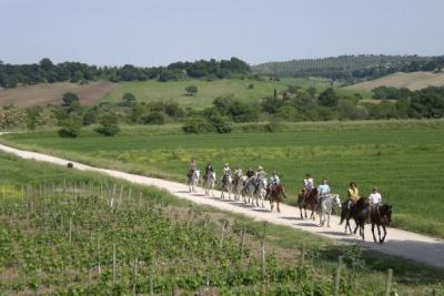Agriturismo vicino terme saturnia Il GIrasole Terzuolo maremma toscana
