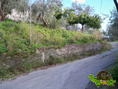 Ampio rudere con terreno