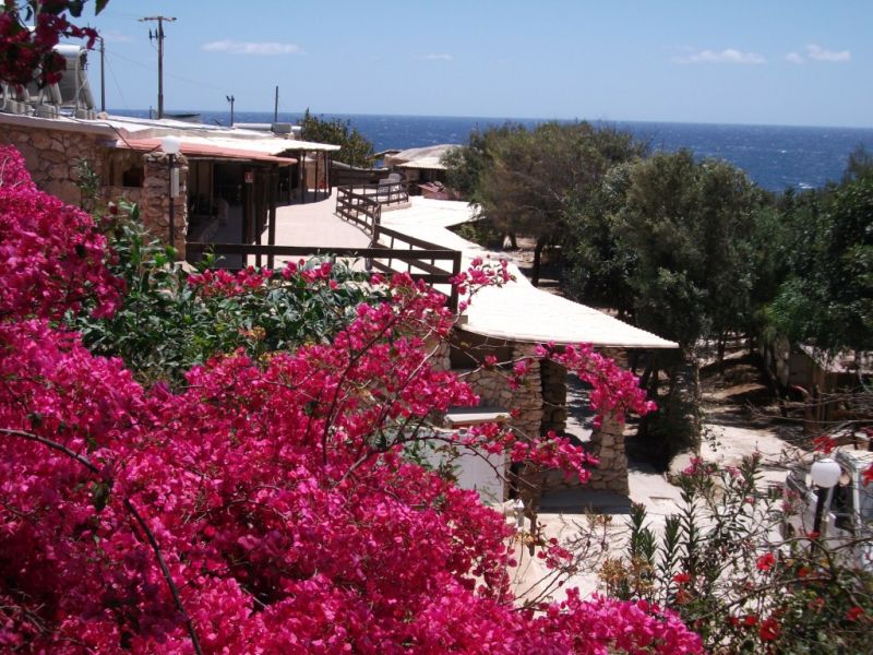 Last minute Lampedusa