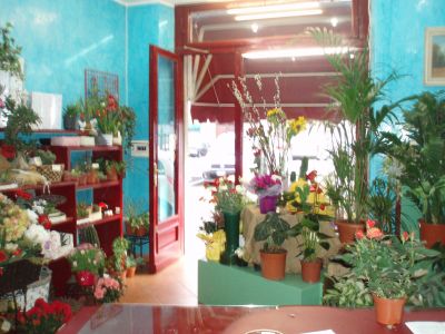 C/so Spezia Rif.: 33/13