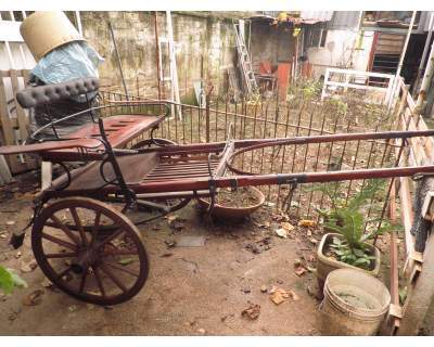 Calesse x poni, o super poni