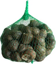 LUMACHE DA GASTRONOMIA VIVE, ASCIUTTE E SPURGATE da allevamento biologico.