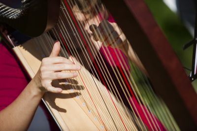 l' arpa al tuo matrimonio
