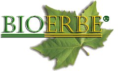 DISTRIBUTORI INDIPENDENTI