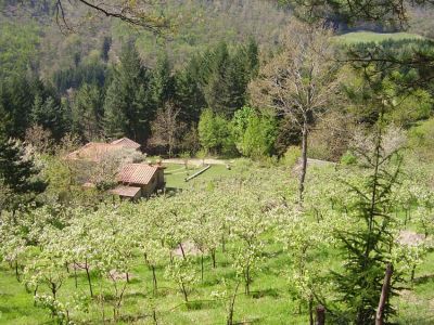 Agriturismo biologico in Toscana tra cervi e scoiattoli