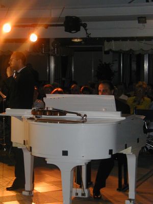 LEZIONI di VIOLINO e PIANOFORTE a Lecco.