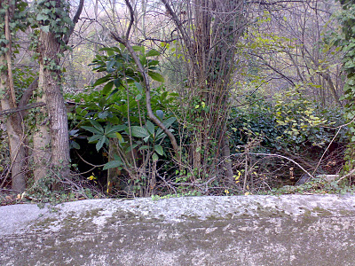 GE Sant'Olcese �100 mens. giardino mq150 + sgabuzzino   