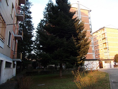 TRE LOCALI CON CUCINA ABITABILE,RISTRUTTURATO