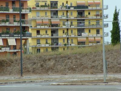 PAVONA LOCALITA' SANTA PALOMBA  VIA DELLE ARTI 