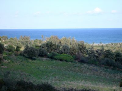 VENDITA APPARTAMENTO A TANAUNELLA - BUDONI