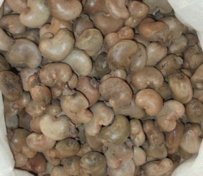 Anacardi offrono SOFT