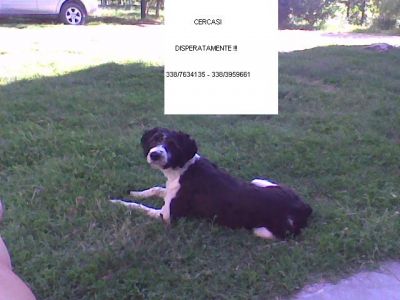 SMARRITI 1111111111111111