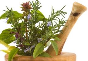 Corso on line di erboristeria