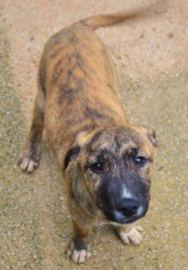 John, cinque mesi, cerca una famiglia