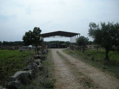 TERRENO CON CAPANNONE