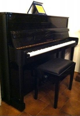 VENDO Pianoforte verticale Zimmermann del 1994 pari a nuovo !