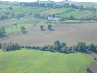 Terreno agricolo con pioppi e pozzo attivo