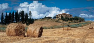 Vivi la Toscana con tour di Aolmaia