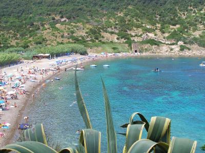 ISOLA D'ELBA AFFITTO APPARTAMENTO