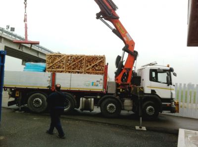 Gru Idraulica Palfinger 36002 su Autocarro Scania 420 usati