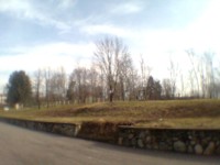 Terreno Agricolo  E BOSCHIVO