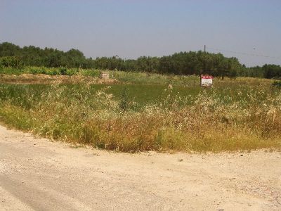 RIF.862 Terreno edificabile