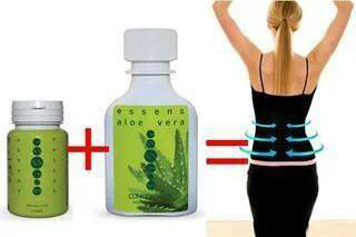 Lavoro Network Marketing