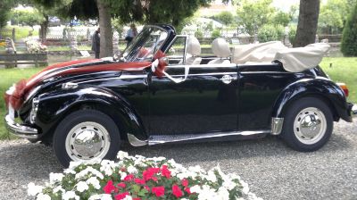 bellissimo maggiolone mexico