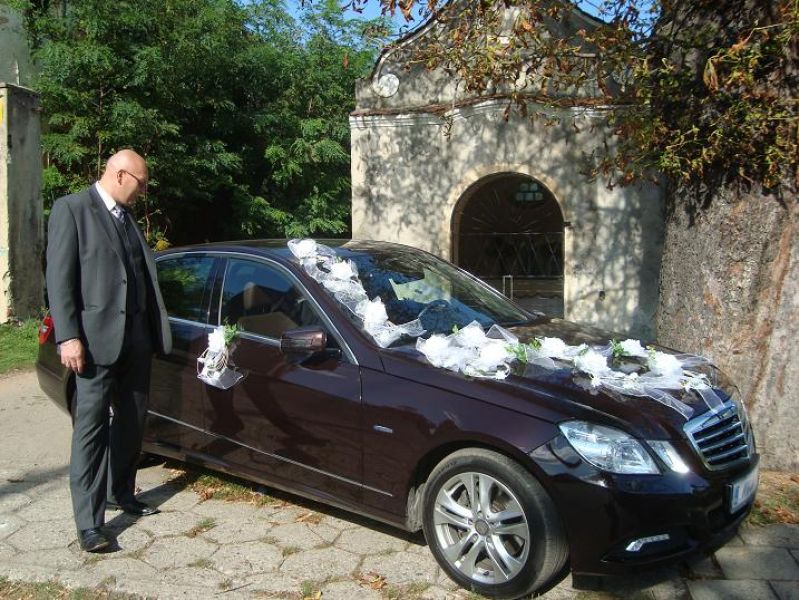 Autisti  Patente B Assistenza Anziani  Cuoco Security 