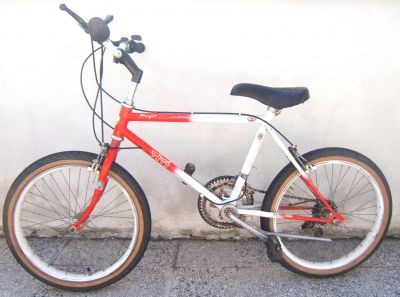 Bici Mountainbike ragazzo