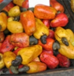 OFFERTA SOFT anacardo (anacardio)