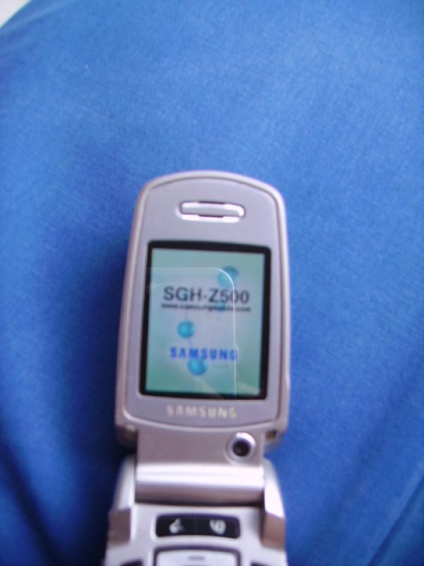 Cellulare Samsung SGH Z 500 