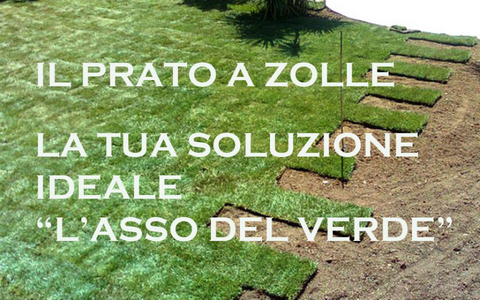 Lavori di Giardinaggio