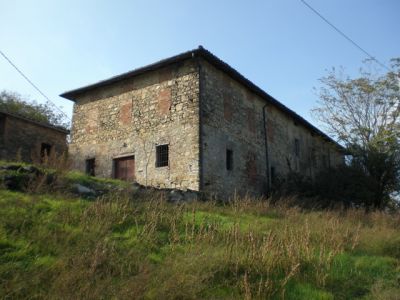 PODERE CON STALLA E  TERRENO DI 40 ETTARI IN COLLINA