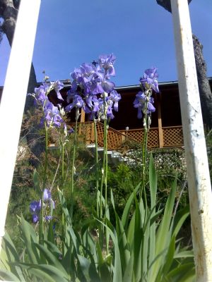 bed and breakfast sulla costa Etrusca (Livorno), una vacanza in relax