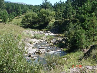 REPUBLICA ARGENTINA AZIENDE DI GRANDI DIMENSIONI