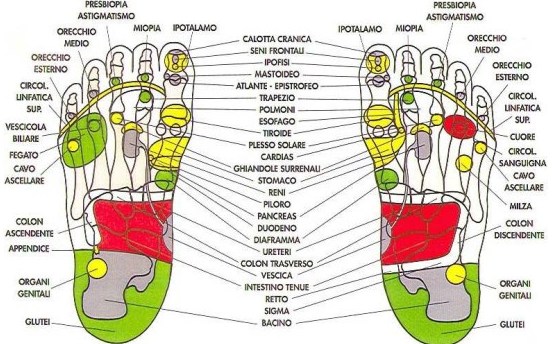 Riflessologia plantare ed Erboristeria