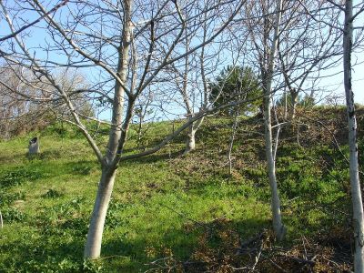 Vendo terreno panoramico edificabile