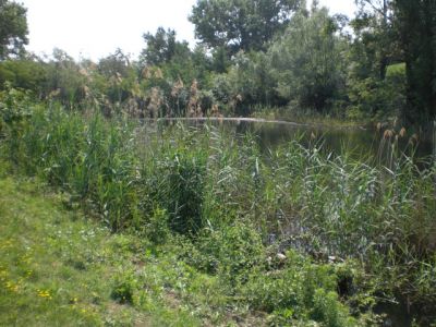 RUSTICO CON TERRENO DI 20 Ha. CON LAGO  IN COLLINA A FIDENZA