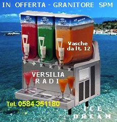 Motoriduttore per granitore SPM