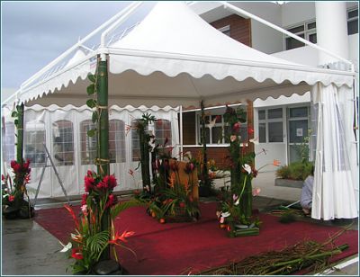 Ricerca agenti settore gazebo, pedane