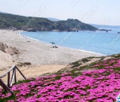 Vacanze nella spiaggia di Rena Majore !!!