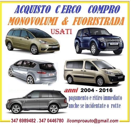 Acquisto il tuo monovolume usato subito