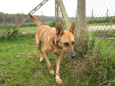 TOBIA, SALVATO DAL MALTRATTAMENTO