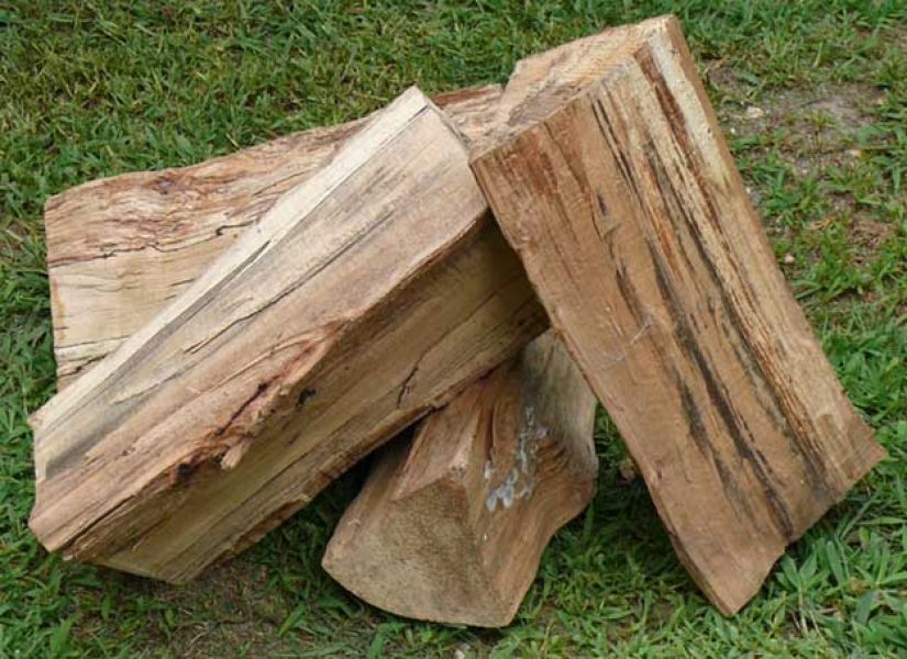 Legna secca da ardere