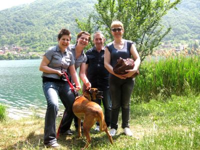 Cerchiamo lavoro zona nord Italia � Svizzera, Austria