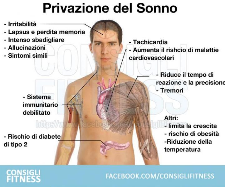 Personal Wellness & Breakfast Coach