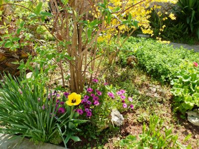 Beb & breakfast villa Apollonia (Salento)